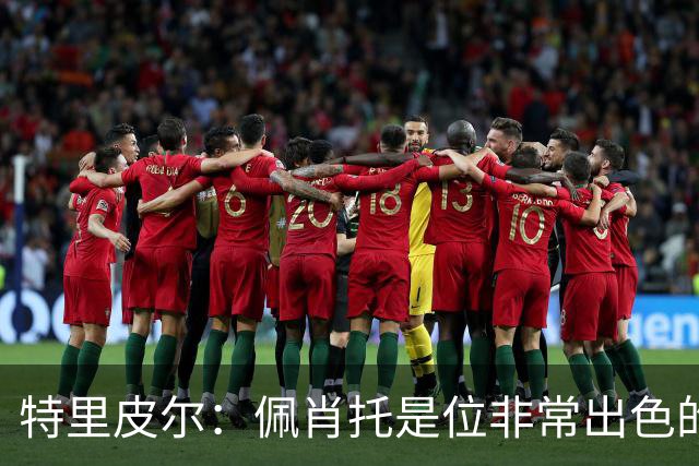 特里皮尔：佩肖托是位非常出色的教练；我相信我们能成功升级